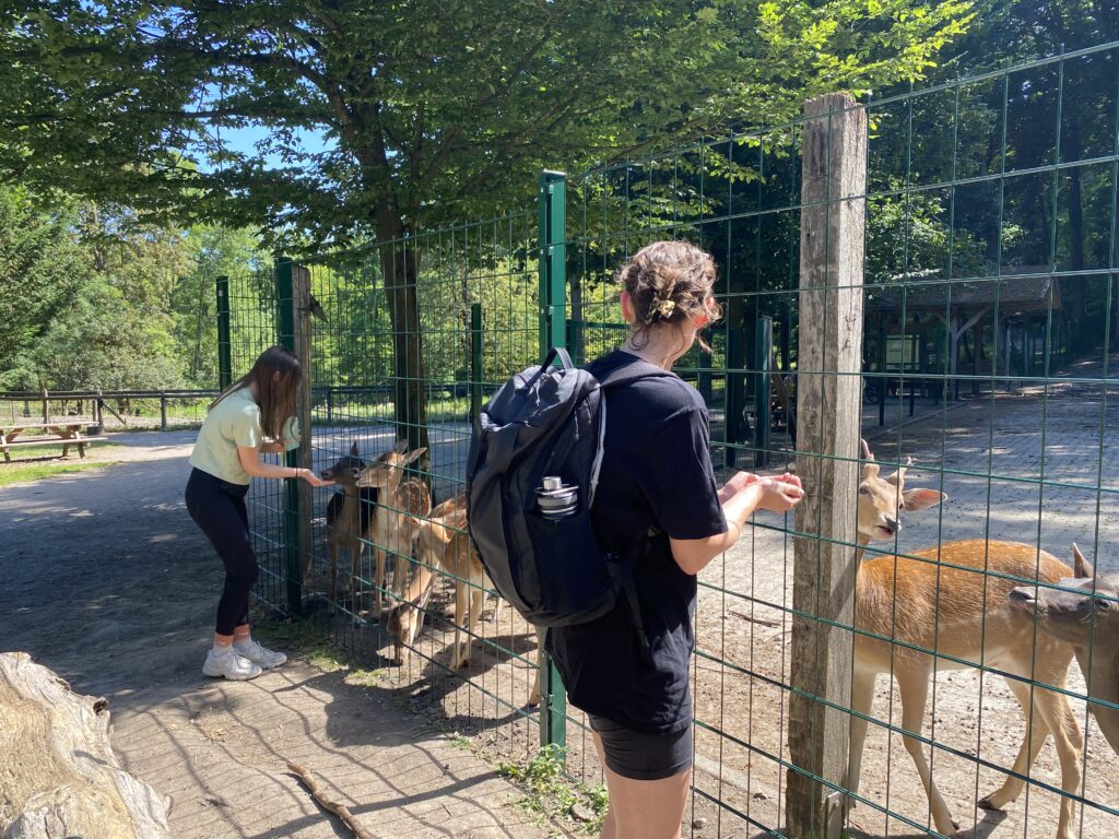 Sommerfest Wildpark